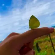 くうはくの画像