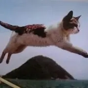 アリエス