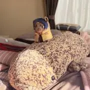 断捨離中のたまごの画像