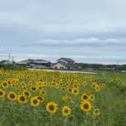なまふぁーむの画像