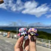 hiraizumiの画像