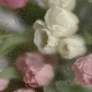 【プロフ必読お願いします】なーちゃんの画像