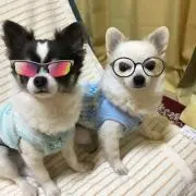 ☆さんしろ☆