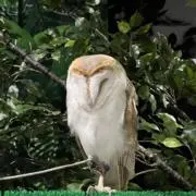 Ⓜ︎の画像