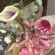 do71の画像