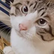 RuiRuiの画像