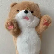 Yui(プロフ必読)
