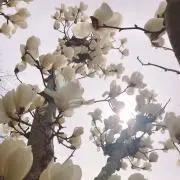 るる