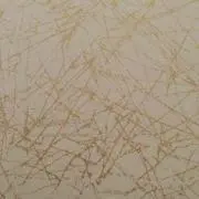 もぴこ