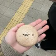 しーすーの画像