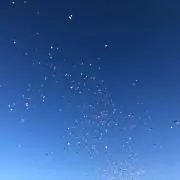 ぴろり☆