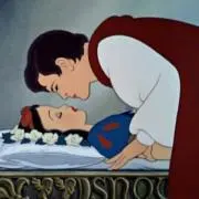 しらゆきの画像