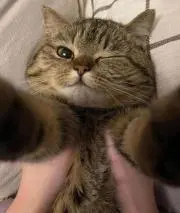 ちーちゃんの画像
