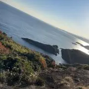 やの画像