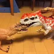 あんこの画像