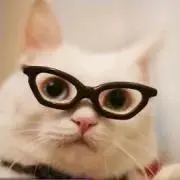kitty☆の画像