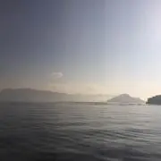 たぬきの画像