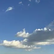 mi (断捨離中)の画像