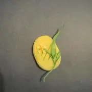 カナの画像