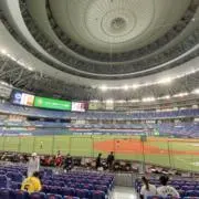 カードの達人の画像
