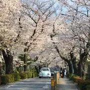 三山商会