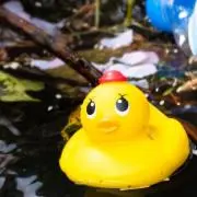 しゅにの画像