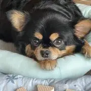 mityaの画像