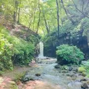 haruの画像