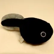 てぃふぁの画像