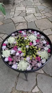 ひとの画像