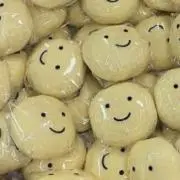 蘭の画像