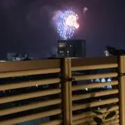 ぬーの画像