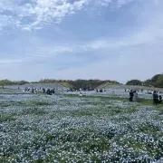 ぽっかの画像