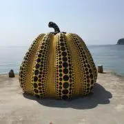 よっぴ