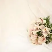tmyの画像