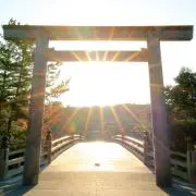 【セール中!!】サンルーセント★の画像