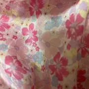 咲紀の画像
