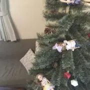 tdjtgtgjの画像