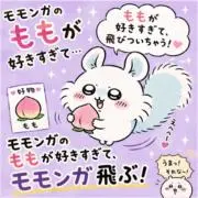 モモンガのモモの画像