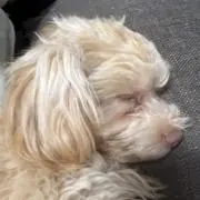 まー