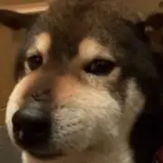 ラッキー