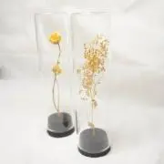 naturalの画像