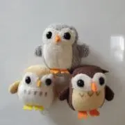 とむの画像