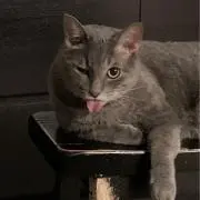 みru