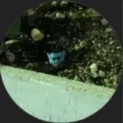 飛鳥山の画像