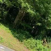 古着屋Rr プロフィールを一読願いますの画像