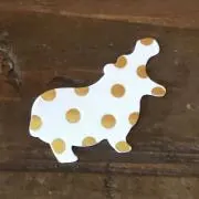⭐︎nosuke⭐︎の画像