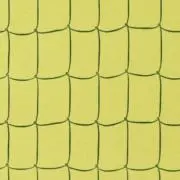 ｉ