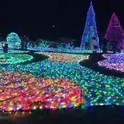 りょうもも★