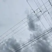 ぽんきちの画像